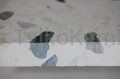 lastryko LST P 027 (2).JPG