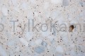 lastryko-terrazzo-lstp-047.JPG