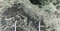 Verde Alpi2.jpg
