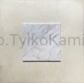 carrara 40x40.jpg