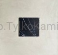 black silk poler.jpg