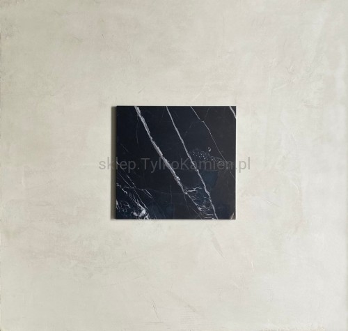 black silk poler.jpg