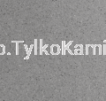 lastryko 049.png