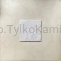 carrara 11.2026 30,5x30,5mat.jpg
