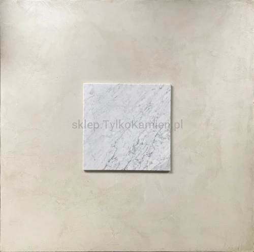carrara 11.2026 30,5x30,5mat.jpg