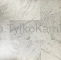 carrara 11.2026-30,5x30,5mat-wiele.jpg