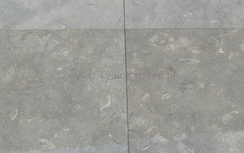 Fossil Green  40x40x1cm poler MM_246_HC-A.jpg