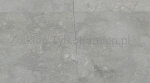 Płytki marmurowe Fossil Blue