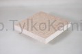 LASTRYKO LST P 040 (2).JPG